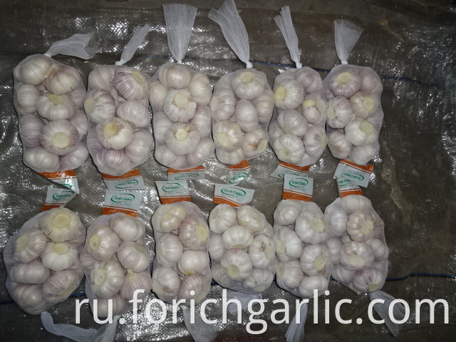 How Do You Store Garlic Cloves